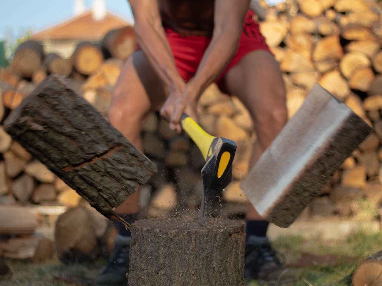 Best Dead Tree Removal  in Pacific, MO